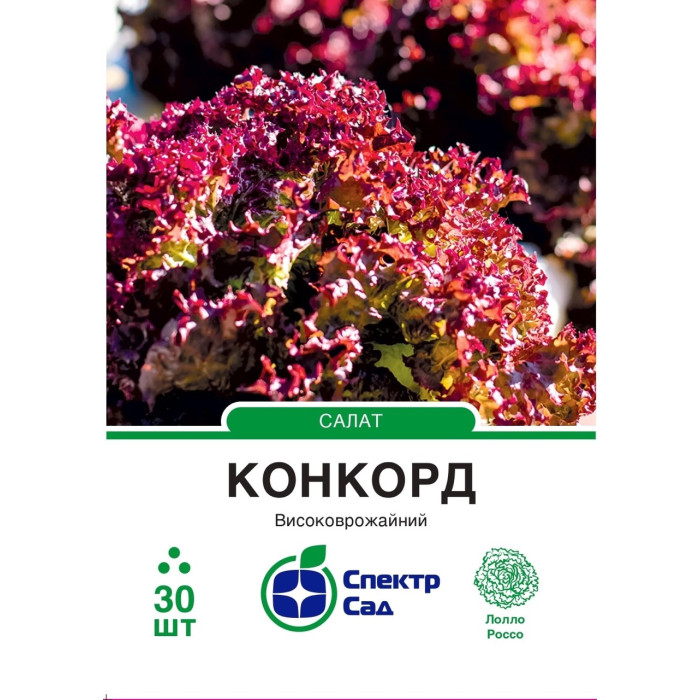 Салат Конкорд 30 насінин СПЕКТР